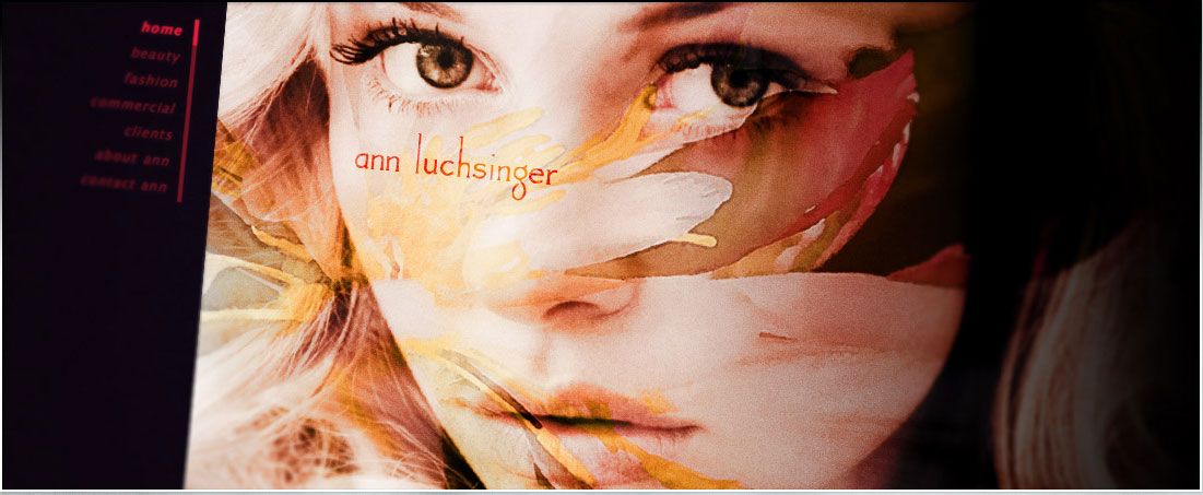 Ann Luchsinger website