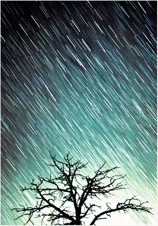 Perseids Meteror Shower Flagstaff Northern Arizona Long Exposure Stars